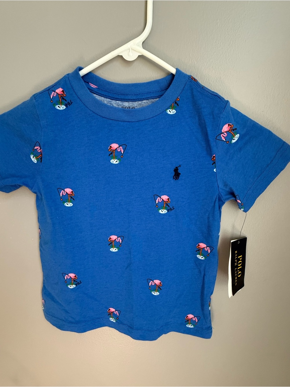 Polo Ralph Lauren graphic T  boys